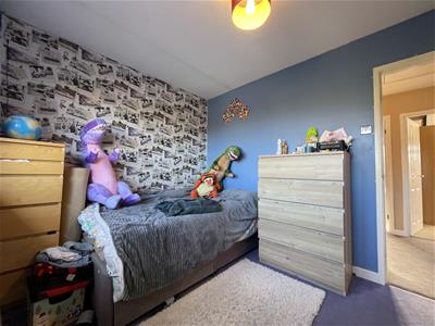 Picture 14